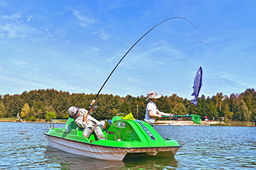 portfolio image template